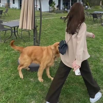 人际卫生