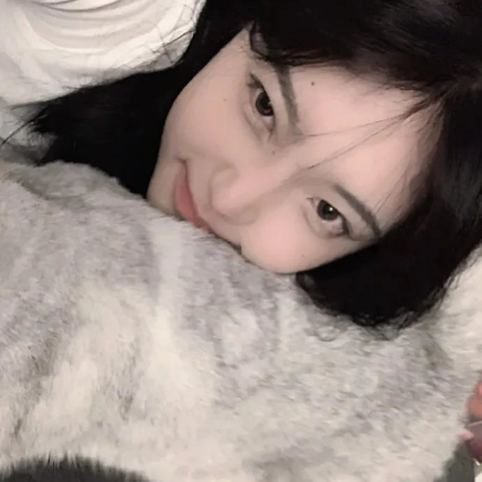 哈兰·科本的庇护所